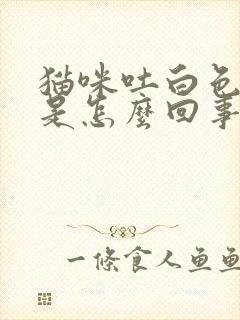 猫咪吐白色粘液是怎么回事