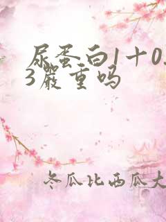 尿蛋白1十0.3严重吗