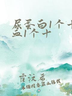 尿蛋白1个十隐血1个十