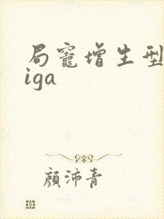 局灶增生型肾病iga