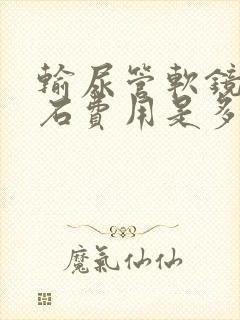 输尿管软镜取结石费用是多少