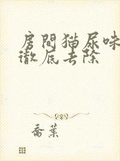 房间猫尿味怎么彻底去除