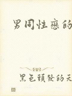 男同性恋的叫法