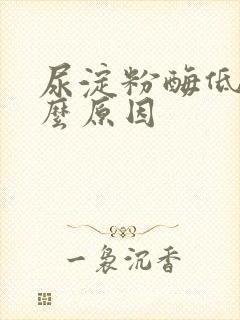 尿淀粉酶低是什么原因