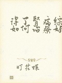 得了肾病综合症如何治疗好