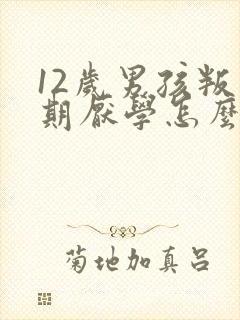 12岁男孩叛逆期厌学怎么办