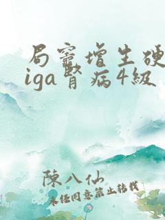 局灶增生硬化型iga肾病4级