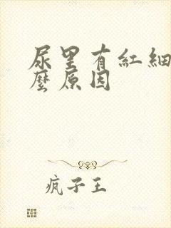 尿里有红细胞什么原因