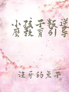 小孩子叛逆期怎么教育引导