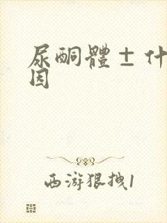 尿酮体±什么原因