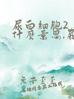 尿白细胞2 是什么意思,严重吗