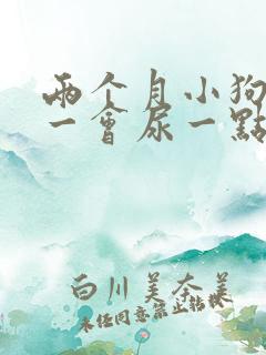 两个月小狗尿频一会尿一点