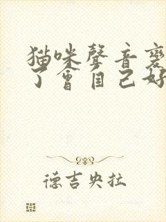 猫咪声音变沙哑了会自己好吗