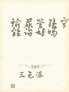 输尿管狭窄中医能治好吗