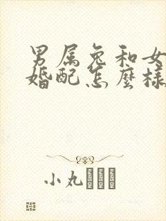 男属兔和女属羊婚配怎么样