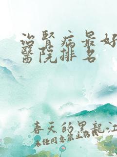 治肾病最好的中医院排名