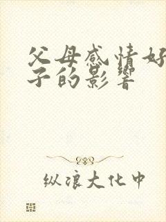 父母感情好对孩子的影响