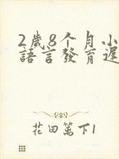 2岁8个月小孩语言发育迟缓怎么办