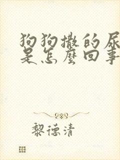 狗狗撒的尿很黄是怎么回事