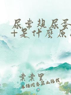 尿常规尿蛋白1+是什么原因