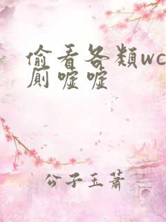 偷看各类wc女厕嘘嘘