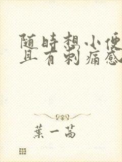 随时想小便,而且有刺痛感是怎么回事