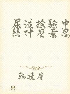 尿液检验中粘液丝什么意思