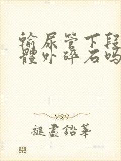 输尿管下段结石体外碎石吗