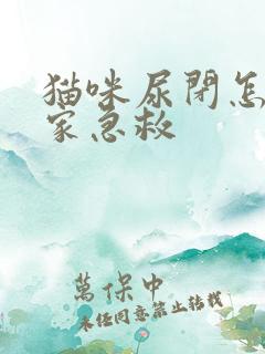 猫咪尿闭怎么在家急救