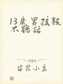 13岁男孩叛逆不听话