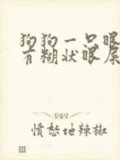 狗狗一只眼睛红有糊状眼屎用啥药