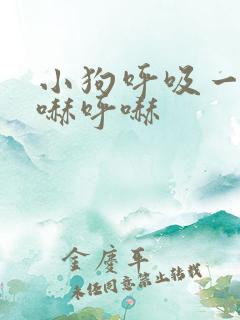 小狗呼吸一直呼哧呼哧