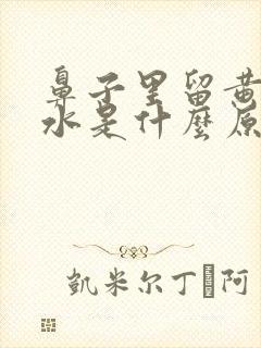 鼻子里留黄色的水是什么原因