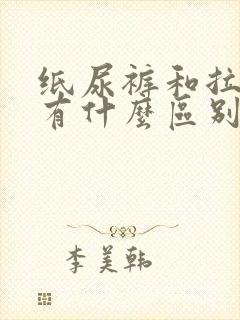 纸尿裤和拉拉裤有什么区别