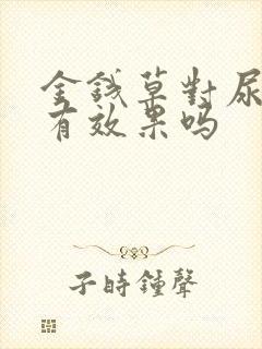 金钱草对尿结石有效果吗