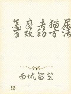 怎么去猫尿味最有效的方法