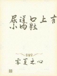 尿道口上有一个小肉粒