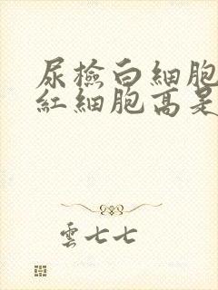 尿检白细胞高,红细胞高是怎么回事