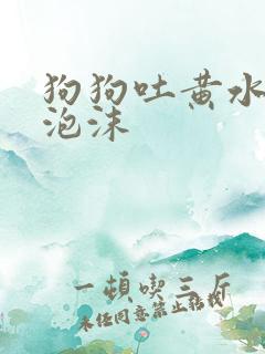 狗狗吐黄水带白泡沫