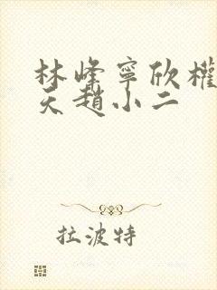 林峰宁欣权势滔天赵小二