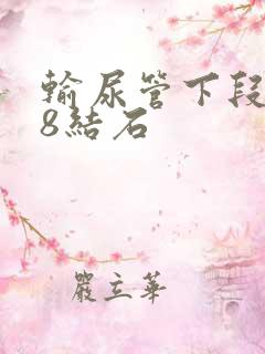 输尿管下段0.8结石