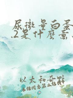 尿微量白蛋白0.2是什么意思