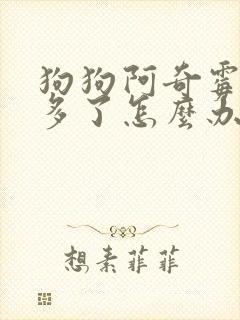 狗狗阿奇霉素吃多了怎么办