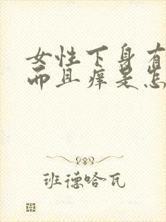 女性下身有异味而且痒是怎么回事