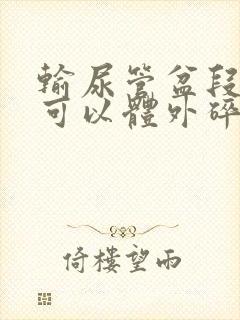 输尿管盆段结石可以体外碎石吗?