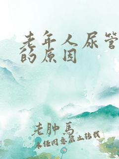 老年人尿管漏尿的原因