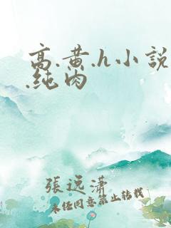 高.黄.h小说.纯肉