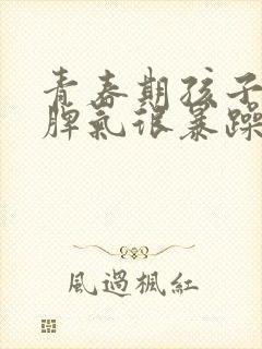 青春期孩子叛逆脾气很暴躁应该怎么管?