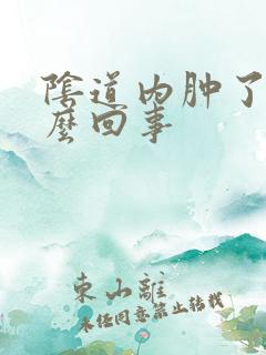 阴道内肿了是怎么回事