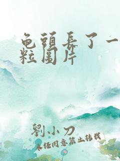 龟头长了一圈肉粒图片